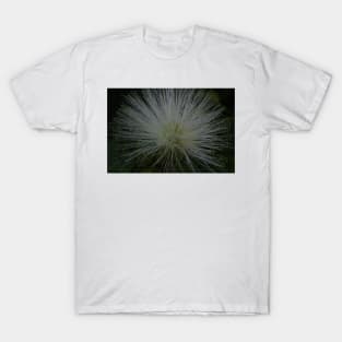 Firework Flower(single) T-Shirt